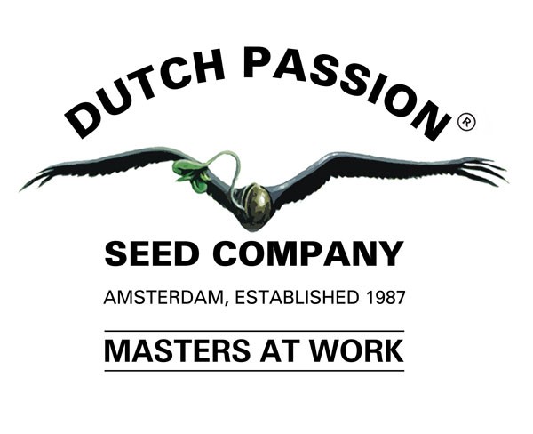 Dutch Passion