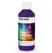 Green Sensation 100cc - Plagron