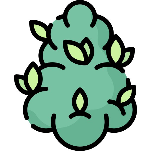 Estimulante de Floración