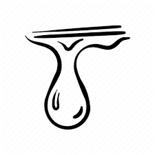 Vaporiza Wax, Rosin, Extracciones